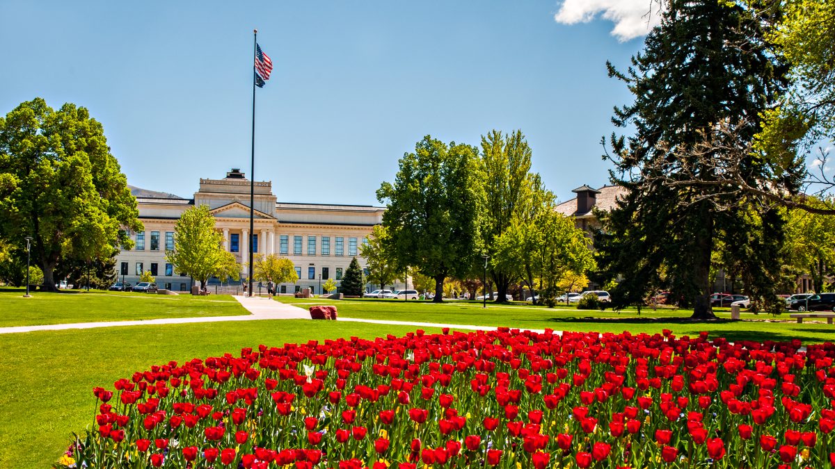 red tulips bloom in the middle landscape area on Presidents Circle